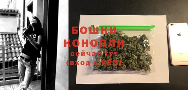 тгк Богородицк