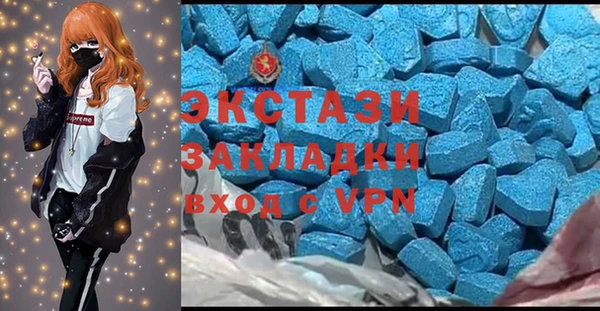 тгк Богородицк