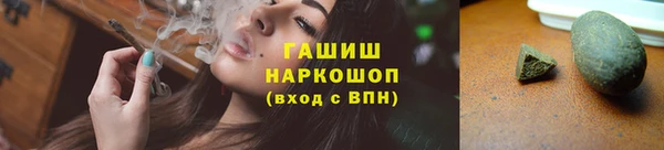 прущие грибы Балахна