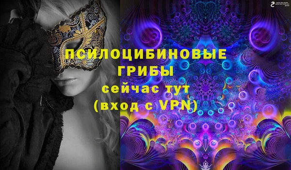 тгк Богородицк