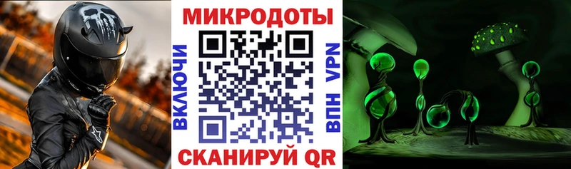 что такое   Свирск  Галлюциногенные грибы GOLDEN TEACHER 